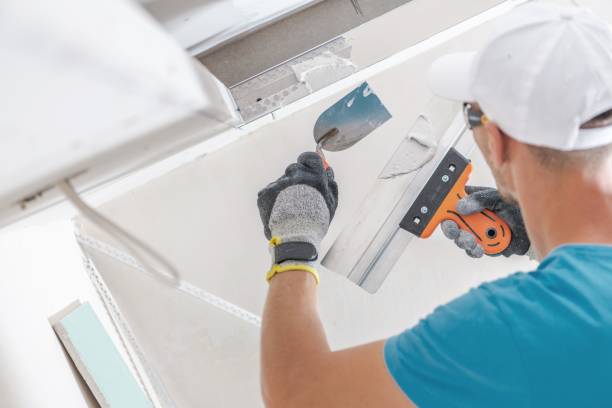 Mold Remediation for Rental Properties